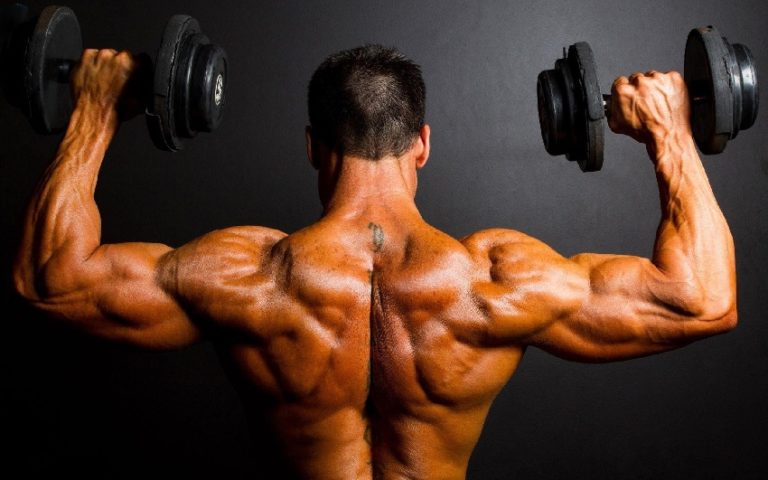 SARMs: Accelerate of protein synthesis in muscles