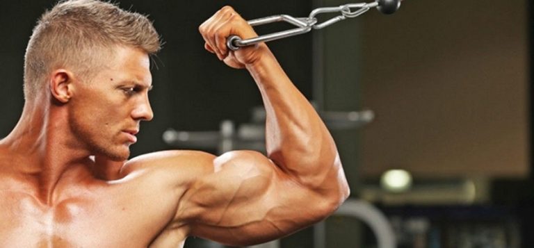 Increasing your muscles is not as difficult as it seems
