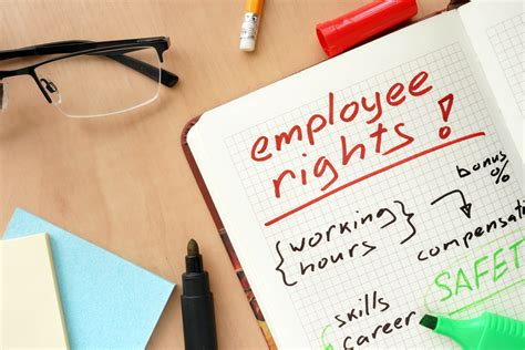 Different Areas of Employment Law